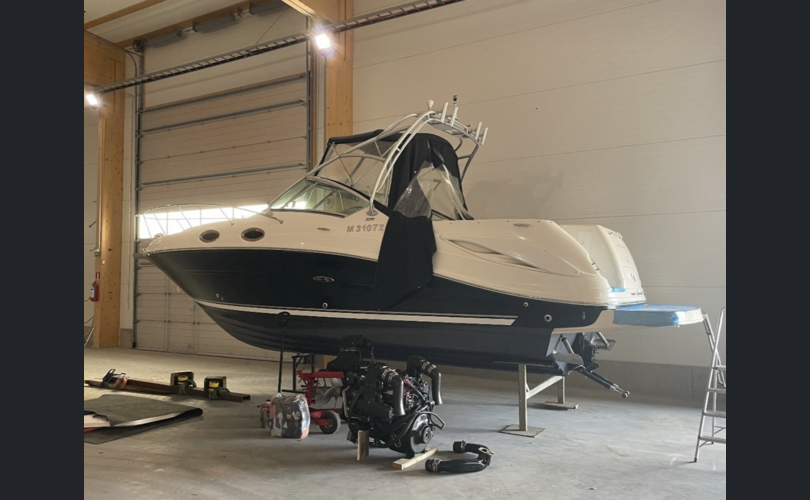 Sea Ray 275 Amberjack-kuva-8